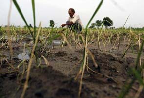 August may bring good rains, but trouble in September: MET Department