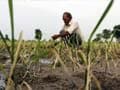 Good news for Tamil Nadu farmers: Karnataka releases water into Cauvery