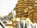 Foodgrain worth Rs 250 crore rots in Maharashtra godown, state government blames the Centre