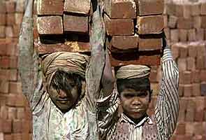 Cabinet clears ban on all forms of child labour