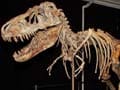 A claim that dinosaur footprint found at NASA center