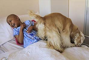 Dogs give emotional boost to sick kids in Quito 