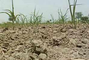 Drought shadow over 14 districts in Gujarat as Govt declares them 'scarcity hit'