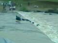 Caught on camera: Two men swept away by river in Madhya Pradesh, one killed