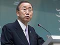 Organised crime moving into logging: UN, Interpol