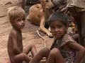India has highest child mortality rate, says UN report