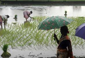 Monsoon rains continue late revival