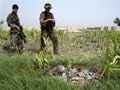 Two NATO personnel killed in Afghanistan helicopter crash: Military