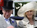 Prince Charles' wife Camilla in Bangalore for holistic healing