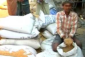 Rajasthan Governor seeks Food Corporation of India report on complaints of poor quality wheat