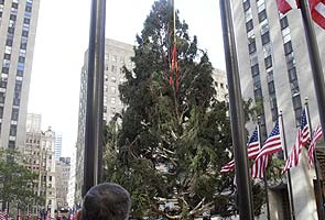 Rockefeller Center Christmas tree ready to be lit