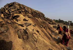 Govt approves sale of 6.5 mn tonnes wheat to bulk consumers in bid to check rising prices