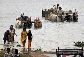 Cyclone Nilam: 22 killed in heavy rains in Andhra Pradesh