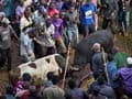 Obama beats Romney in a bullfight in Kenya