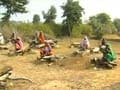 Madhya Pradesh land row: Farmers sit on pyres, threaten mass suicide