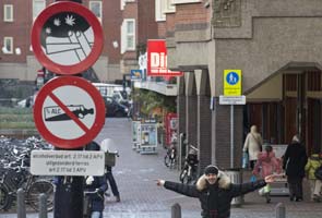 Amsterdam to ban smoking pot in school 