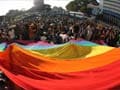 'Queer Pride' parade culminates with march