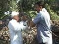 Raj Thackeray upset over video of party worker slapping elderly man