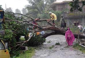 Six dead as Typhoon Bopha lashes Philippines