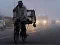 Fog affects life in Punjab, Haryana