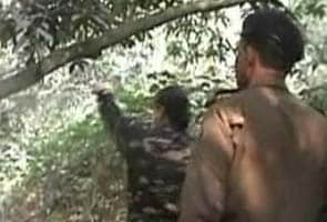 Woman, who was found hanging from tree in Bihar, was not gang-raped, reveals post-mortem report