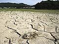 Andhra Pradesh government declares 234 mandals 'drought-hit'