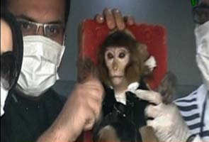 US concerned over Iran reportedly sending monkey into space