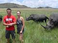 Tourist gored by rhino after wildlife expert asked her to 'stand closer' to the animal for photos