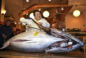 Giant tuna sells for record $1.8 million in Japan