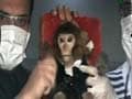 Monkey business? US unsure of Iran's space claims