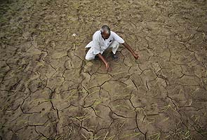 Government auditor's (CAG) report tabled in Parliament says farm loan funds siphoned off 