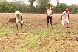 Now, CAG finds lapses in one of five cases of government's farmer loan-waiver scheme 