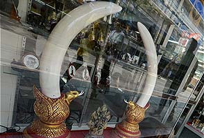 Thailand in landmark pledge to end its ivory trade