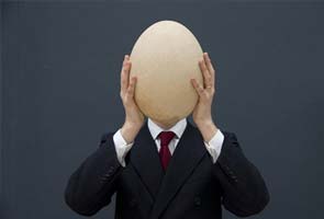 Huge elephant bird egg gets $101,813 at UK auction