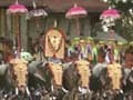 Don't Use 'Live' Elephants in Thrissur Parade: Actor Pamela Anderson to Kerala Chief Minister