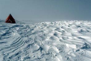 Antarctic summer ice melting 10 times faster: report