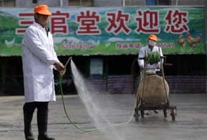 China's bird flu response shows new openness 