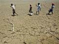 For India's drought-hit states, on-track Monsoon may be too late