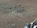 Astronaut Buzz Aldrin plans human colony on Mars: report
