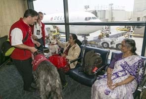 Newest dogs in US airports want hugs, not drugs 