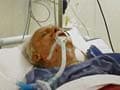 Chhattisgarh Naxal attack: VC Shukla critical, on dialysis, say doctors