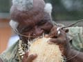 Human coconut peeler in Panama claims he is worthy of Guinness record