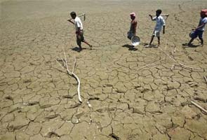 Help pours in for Maharashtra drought victims