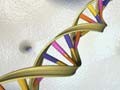 US top court says naturally occurring human DNA can't be patented