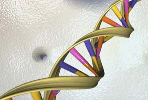 US top court says naturally occurring human DNA can't be patented