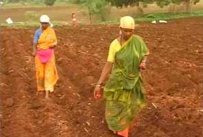 This monsoon, Karnataka farmers sowing 'seeds of hope'