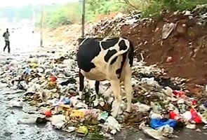 Bangalore's baby steps at waste segregation 