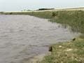 Water level in Krishna river rises, no flood threat issued in Karnataka