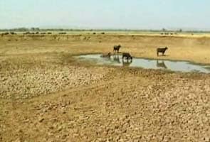 Government outlines Rs 60,000 crore programme for making Maharashtra drought-free