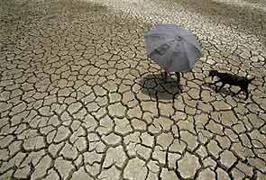 Heatwave toll rises to eight in Odisha